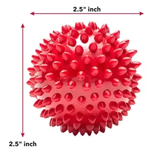 Non-Toxic Rubber Stud Spike Hard Ball Chew Toy
