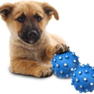 High Quality Latex Dog Playing Ball