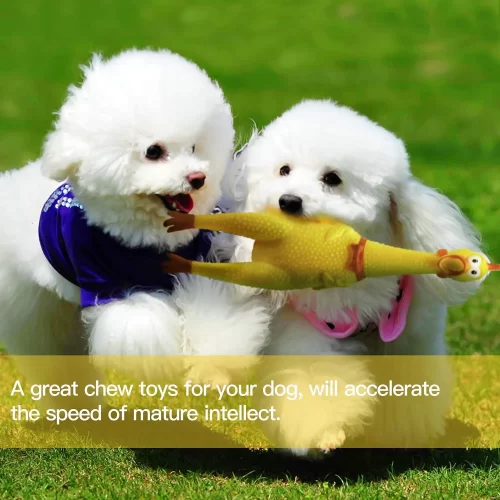 Chicken Rubber Squeeze Dog Toys Yellow Pet Toy - Image 4