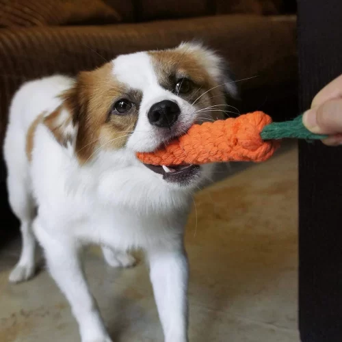 Orange Carrot Knotted Cotton Rope Toys for Teeth Cleaning and Chewing - Image 3